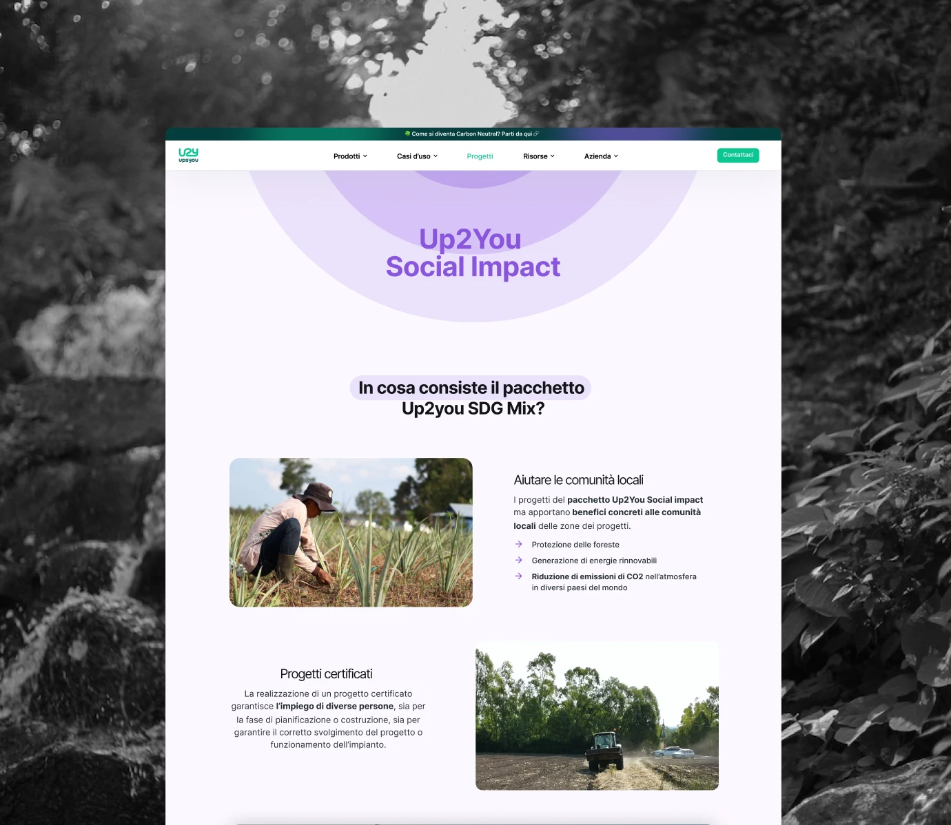 a screen shot of a web page for a social impact organization